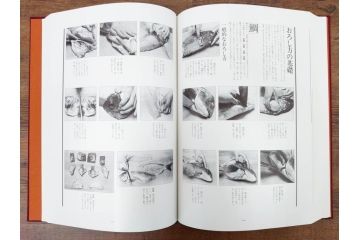 昭和57年　魚譜 日本料理盛付精撰 日本食用魚介藻 大図鑑(著者 志の島忠、監修 末廣恭雄 阿部宗明 鈴木克美 益田一、グラフ社、本、古書、和食、指南書、レシピ、カバー付き、外箱付き)(R-079459)