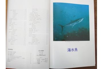 昭和57年　魚譜 日本料理盛付精撰 日本食用魚介藻 大図鑑(著者 志の島忠、監修 末廣恭雄 阿部宗明 鈴木克美 益田一、グラフ社、本、古書、和食、指南書、レシピ、カバー付き、外箱付き)(R-079459)