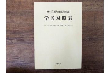 昭和57年　魚譜 日本料理盛付精撰 日本食用魚介藻 大図鑑(著者 志の島忠、監修 末廣恭雄 阿部宗明 鈴木克美 益田一、グラフ社、本、古書、和食、指南書、レシピ、カバー付き、外箱付き)(R-079459)