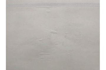 1999年　春　横山善一　白夜・未来派の女性像　掛軸(掛け軸、日展会員、サイン入り、落款、共箱付き)(R-079461)