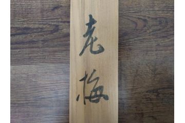 小林五浪　「老梅」　掛軸(掛け軸、日本画、花、サイン付き、落款、共箱付き、三越美術部)(R-079462)