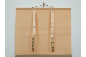 小林五浪　「茄子」　掛軸(掛け軸、なす、野菜、バッタ、飛蝗、昆虫、日本画、共箱付き)(R-079464)