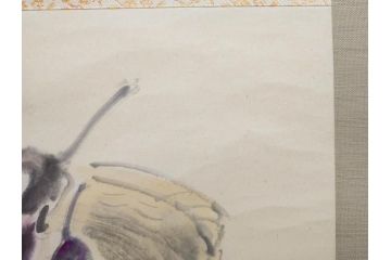 小林五浪　「茄子」　掛軸(掛け軸、なす、野菜、バッタ、飛蝗、昆虫、日本画、共箱付き)(R-079464)