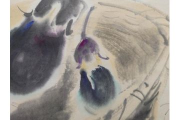 小林五浪　「茄子」　掛軸(掛け軸、なす、野菜、バッタ、飛蝗、昆虫、日本画、共箱付き)(R-079464)