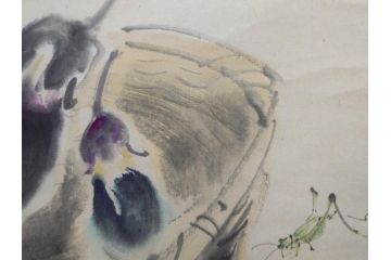小林五浪　「茄子」　掛軸(掛け軸、なす、野菜、バッタ、飛蝗、昆虫、日本画、共箱付き)(R-079464)