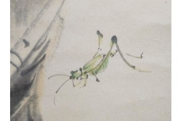 小林五浪　「茄子」　掛軸(掛け軸、なす、野菜、バッタ、飛蝗、昆虫、日本画、共箱付き)(R-079464)
