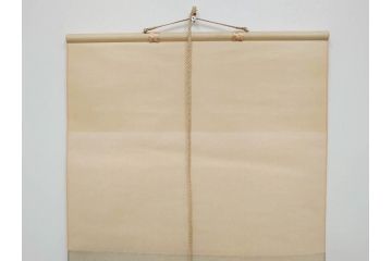 小林五浪　「茄子」　掛軸(掛け軸、なす、野菜、バッタ、飛蝗、昆虫、日本画、共箱付き)(R-079464)