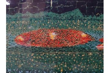 真作　山下清　「長岡の花火」　32/300　緻密なデザインが目を引くリトグラフ(版画、落款印、風景画、壁掛け、額装、外箱付き)(R-079482)　