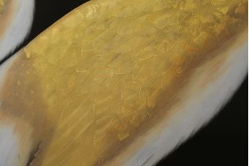 和製ビンテージ　輪島塗り　日展作家　加治武　キジ(雉)のつがいを描いた美しい蒔絵が目を引く衝立て(パーテーション、衝い立て、つい立て、間仕切り、ディスプレイ、ヴィンテージ)(R-079496)