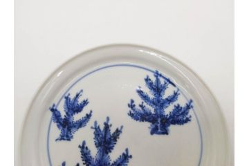 正木春蔵　九谷焼　染付　色絵　松梅文　約14cm　4.7寸　緻密なデザインが魅力の小皿5枚セット(花、樹木、豆皿、和皿、和食器、四寸七分)(R-079518)