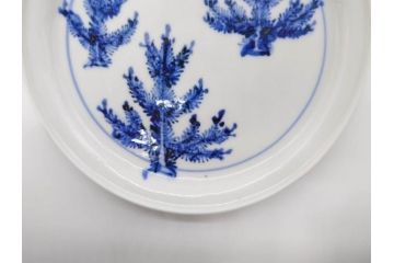 正木春蔵　九谷焼　染付　色絵　松梅文　約14cm　4.7寸　緻密なデザインが魅力の小皿5枚セット(花、樹木、豆皿、和皿、和食器、四寸七分)(R-079518)