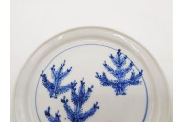 正木春蔵　九谷焼　染付　色絵　松梅文　約14cm　4.7寸　緻密なデザインが魅力の小皿5枚セット(花、樹木、豆皿、和皿、和食器、四寸七分)(R-079518)
