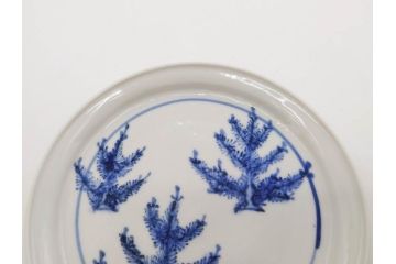 正木春蔵　九谷焼　染付　色絵　松梅文　約14cm　4.7寸　緻密なデザインが魅力の小皿5枚セット(花、樹木、豆皿、和皿、和食器、四寸七分)(R-079518)
