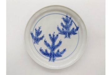 正木春蔵　九谷焼　染付　色絵　松梅文　約14cm　4.7寸　緻密なデザインが魅力の小皿5枚セット(花、樹木、豆皿、和皿、和食器、四寸七分)(R-079518)