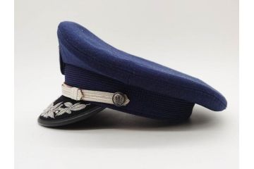 佐官 二佐　制帽　肩章　リュックサック　メダル　階級章　ボタン　部隊章(徽章)　記念章　航空自衛隊まとめてセット(JASDF、防衛記念章、中佐、正帽、ミリタリー、儀礼、装備、制服用)(R-079521)
