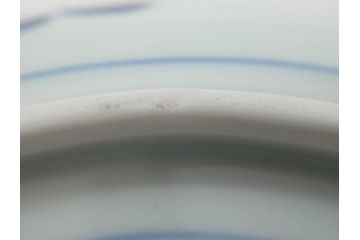 太明成化年製　赤絵　色絵　染錦　約23cm　7.4寸　緻密な意匠に惹かれる中皿3枚セット(金彩、菊、花、和皿、和食器、七寸四分)(R-079559)