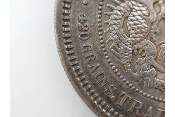 大日本明治八年　貿易銀　重量 約27.21g　銀貨(明治8年、1875年、古銭、硬貨、龍)(R-079570)
