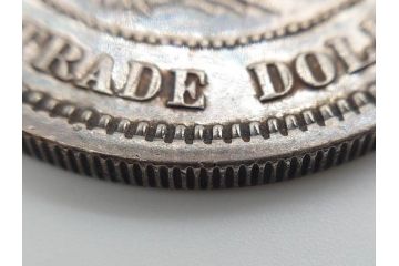 大日本明治八年　貿易銀　重量 約27.21g　銀貨(明治8年、1875年、古銭、硬貨、龍)(R-079570)