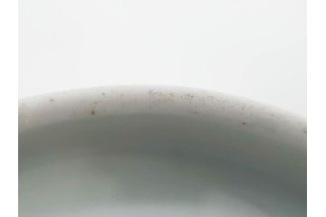 江戸期　古伊万里　染付　線描　蝶花図　約12cm　4寸　清楚な美しさのある蓋付き茶碗2客セット(ちょう、蓮?、和食器、どんぶり、蓋茶碗、四寸)(R-079599)