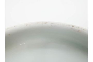 江戸期　古伊万里　染付　線描　蝶花図　約12cm　4寸　花のデザインが優雅な蓋付き茶碗2客セット(蝶、ちょう、蓮?、和食器、どんぶり、蓋茶碗、四寸)(R-079600)