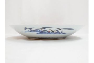 江戸期　古伊万里　染付　色絵　花菖蒲　約48cm　1尺5寸　煌びやかで優雅な大皿(花しょうぶ、花唐草模様、金彩、尺皿、和食器、和皿、一尺五寸)(R-079611)