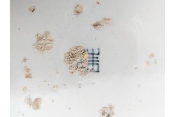 江戸期　古伊万里　染付　色絵　花菖蒲　約48cm　1尺5寸　煌びやかで優雅な大皿(花しょうぶ、花唐草模様、金彩、尺皿、和食器、和皿、一尺五寸)(R-079611)