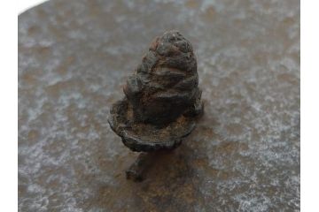 明治44年　三巌堂　未使用　南部　大同生命記念　時を重ねた趣のある南部鉄瓶(三厳堂、湯沸、湯瓶、茶道具、茶器)(R-079614)