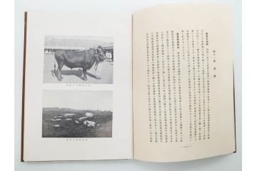 昭和3年　朝鮮殖産銀行十年志　非売品(書籍、古書、古本、記念誌、カバー付き)(R-079638)