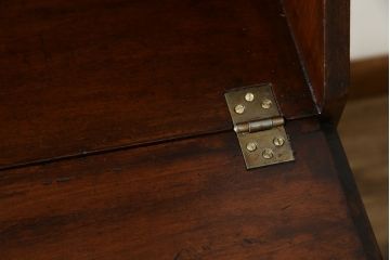 イギリスアンティーク　マホガニー材　クラシカルな雰囲気を漂わせる細身のビューローブックケース(ライティングビューロー、簿記机、引き出し、収納棚、戸棚、引き出し、在宅用デスク、在宅ワーク、在宅用、英国)(R-079670)