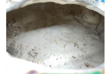 明治期　時代物　清水六兵衛　京焼　在銘作家物　犬の微笑ましい表情に心が癒される香炉(イヌ、仏具、茶道具、裏印、外箱付き)(R-079683)