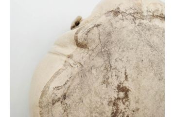 明治期　時代物　清水六兵衛　京焼　在銘作家物　犬の微笑ましい表情に心が癒される香炉(イヌ、仏具、茶道具、裏印、外箱付き)(R-079683)