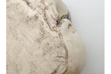 明治期　時代物　清水六兵衛　京焼　在銘作家物　犬の微笑ましい表情に心が癒される香炉(イヌ、仏具、茶道具、裏印、外箱付き)(R-079683)