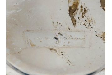 西洋アンティーク　気品あふれるキャンドルスタンド1対(シルバープレート?、燭台、ろうそく立て、蝋燭、2台セット、ペアセット)(R-079686)