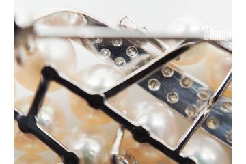 真珠　パール　Pt900(プラチナ)　上品な輝きを放つ帯留(白金、帯留め、着物道具、和装小物、アクセサリー、ブローチ)(R-079695)