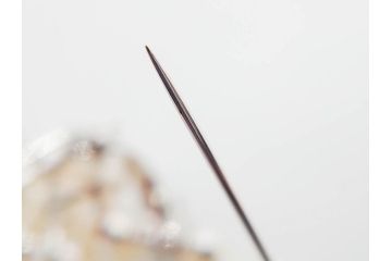 真珠　パール　Pt900(プラチナ)　上品な輝きを放つ帯留(白金、帯留め、着物道具、和装小物、アクセサリー、ブローチ)(R-079695)