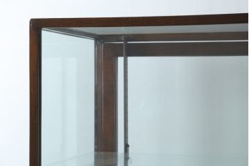 イギリスアンティーク　マホガニー材　深みのある木色が上品でおしゃれなGケース(キャビネット、ガラスケース、コレクションケース、ディスプレイケース、ショーケース、飾り棚、陳列棚、店舗什器、英国)(R-079707)