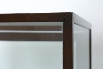イギリスアンティーク　マホガニー材　深みのある木色が上品でおしゃれなGケース(キャビネット、ガラスケース、コレクションケース、ディスプレイケース、ショーケース、飾り棚、陳列棚、店舗什器、英国)(R-079707)