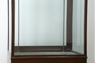 イギリスアンティーク　マホガニー材　深みのある木色が上品でおしゃれなGケース(キャビネット、ガラスケース、コレクションケース、ディスプレイケース、ショーケース、飾り棚、陳列棚、店舗什器、英国)(R-079707)