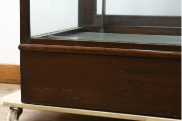 イギリスアンティーク　マホガニー材　深みのある木色が上品でおしゃれなGケース(キャビネット、ガラスケース、コレクションケース、ディスプレイケース、ショーケース、飾り棚、陳列棚、店舗什器、英国)(R-079707)