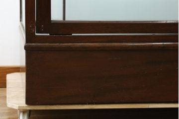 イギリスアンティーク　マホガニー材　深みのある木色が上品でおしゃれなGケース(キャビネット、ガラスケース、コレクションケース、ディスプレイケース、ショーケース、飾り棚、陳列棚、店舗什器、英国)(R-079707)