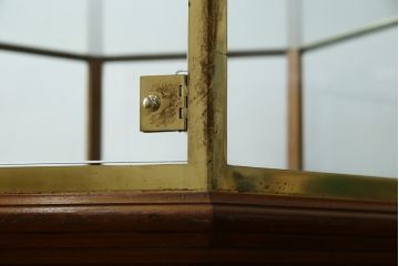 イギリスアンティーク　マホガニー材　おしゃれな真鍮フレームのオクタゴンガラスケース(ショーケース、Gケース、ディスプレイケース、コレクションケース、八角形、飾り棚、陳列棚、店舗什器、英国)(R-079717)