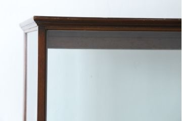 イギリスアンティーク　Dudley&Co.Ltd.　HOLLOWAY.LONDON.　N.7.　マホガニー材　落ち着きのある佇まいが上品な縦型ガラスケース(ショーケース、Gケース、陳列棚、飾り棚、コレクションケース、キャビネット、店舗什器、英国)(R-079728)