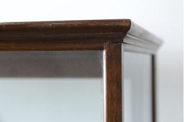 イギリスアンティーク　Dudley&Co.Ltd.　HOLLOWAY.LONDON.　N.7.　マホガニー材　落ち着きのある佇まいが上品な縦型ガラスケース(ショーケース、Gケース、陳列棚、飾り棚、コレクションケース、キャビネット、店舗什器、英国)(R-079728)