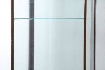 イギリスアンティーク　Dudley&Co.Ltd.　HOLLOWAY.LONDON.　N.7.　マホガニー材　落ち着きのある佇まいが上品な縦型ガラスケース(ショーケース、Gケース、陳列棚、飾り棚、コレクションケース、キャビネット、店舗什器、英国)(R-079728)
