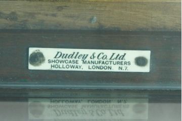 イギリスアンティーク　Dudley&Co.Ltd.　HOLLOWAY.LONDON.　N.7.　マホガニー材　落ち着きのある佇まいが上品な縦型ガラスケース(ショーケース、Gケース、陳列棚、飾り棚、コレクションケース、キャビネット、店舗什器、英国)(R-079728)