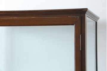 イギリスアンティーク　Dudley&Co.Ltd.　HOLLOWAY.LONDON.　N.7.　マホガニー材　落ち着きのある佇まいが上品な縦型ガラスケース(ショーケース、Gケース、陳列棚、飾り棚、コレクションケース、キャビネット、店舗什器、英国)(R-079728)