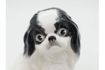 ノリタケ　NORITAKE　スタジオコレクション　狆(チン)　高さ 約10cm　大きな瞳が愛くるしいフィギュリン(犬、Studio Collection、ボーンチャイナ、置物、ディスプレイ、磁器、オブジェ)(R-079733)