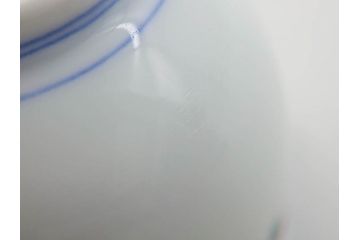 重要無形文化財　人間国宝　十三代 酒井田柿右衛門　有田焼　染錦　果実地文　気分も華やぐ湯呑5客セット(木の実、南天、ザクロ、柘榴、ぐい呑み、湯のみ、和食器、煎茶道具、共箱付き、裏印、花押)(R-079802)