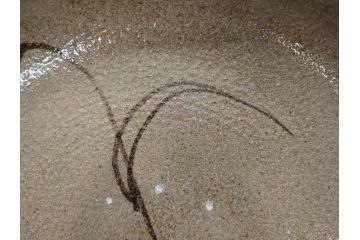 中里重利　絵唐津　約22cm　7.3寸　優美なフォルムが目を引く鉢(唐津焼、鳥、植物、深皿、和皿、中皿、変形皿、和食器、裏印、共箱付き、七寸三分)(R-079817)