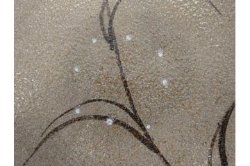 中里重利　絵唐津　約22cm　7.3寸　優美なフォルムが目を引く鉢(唐津焼、鳥、植物、深皿、和皿、中皿、変形皿、和食器、裏印、共箱付き、七寸三分)(R-079817)